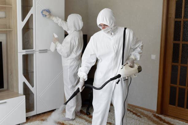 Best Commercial Mold Removal  in Bluffton, SC